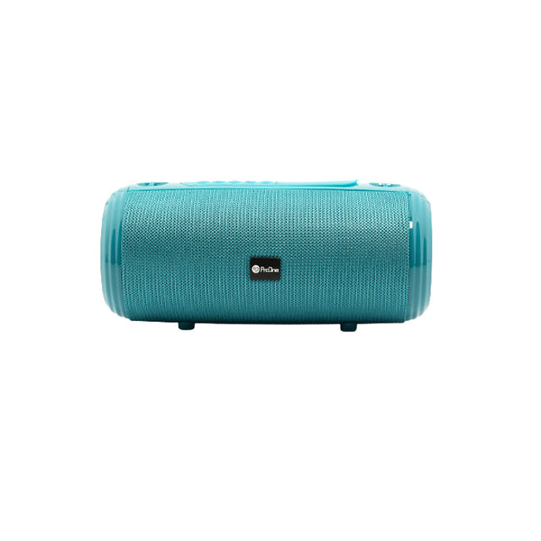 ProOne PSB4110 Portable Speaker